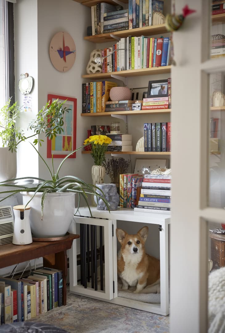 Picture of 450-Square-Foot NYC Rental With Budget Book Storage Solutions ...